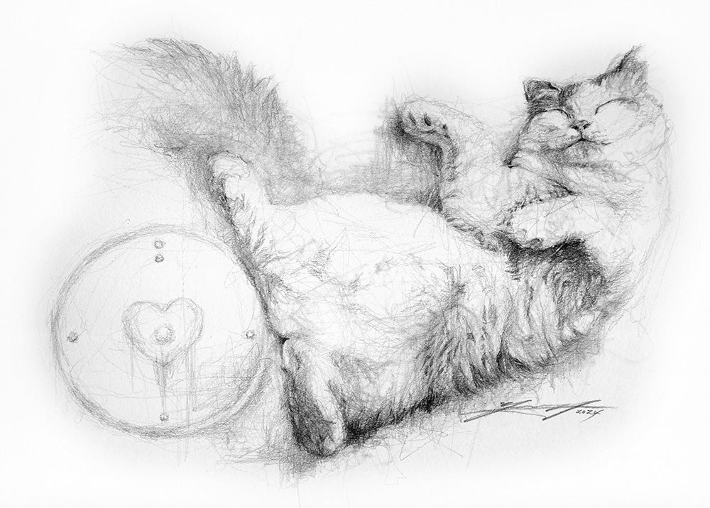 Sleeping Cat 30×25cm Pencil on paper